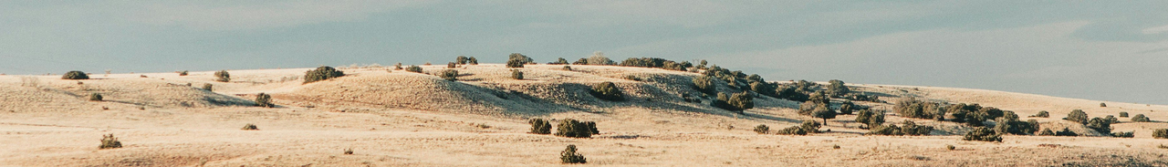 [Image: ENDLESS-PLAINS.png]