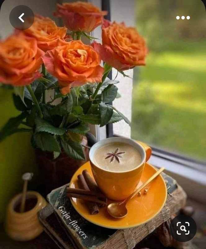 Screenshot_20230710_231321_Pinterest