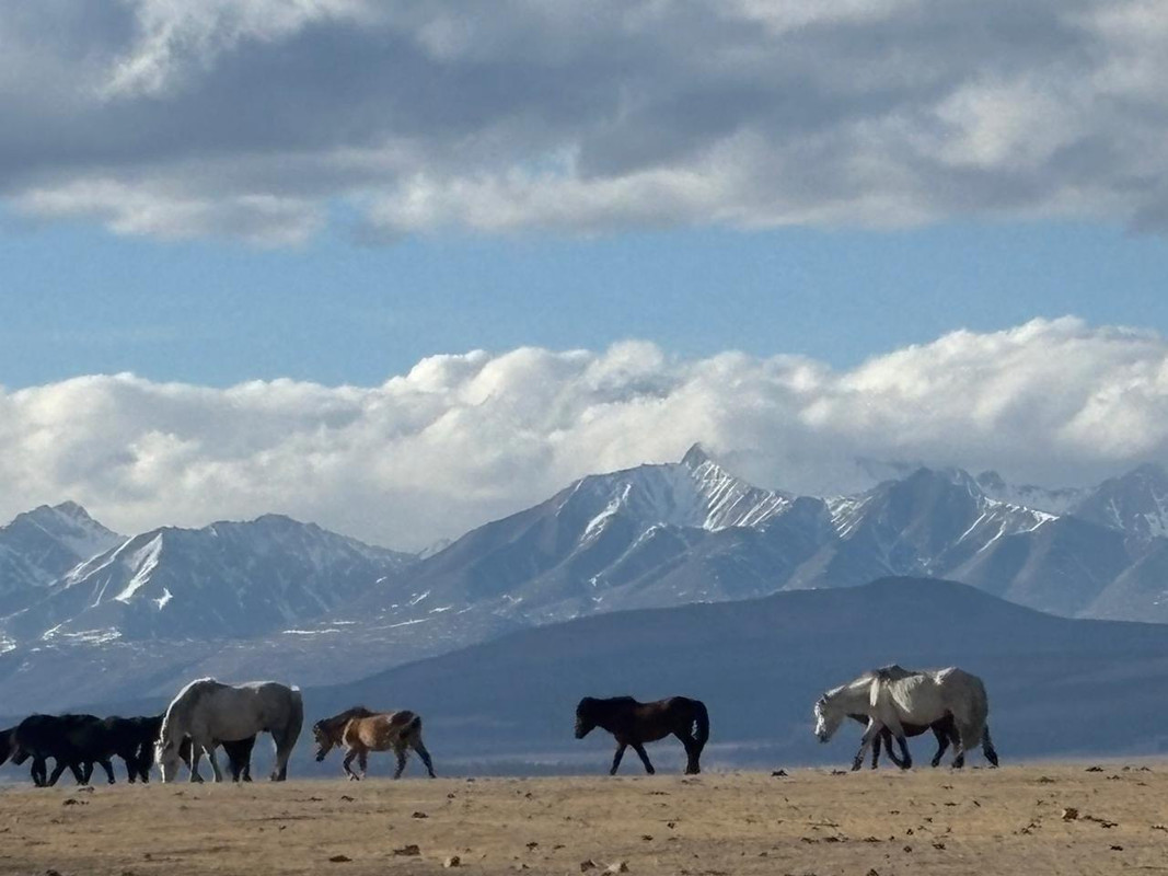 IMG_20250505_202906_094