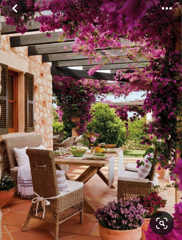 Screenshot_20230904_233829_Pinterest