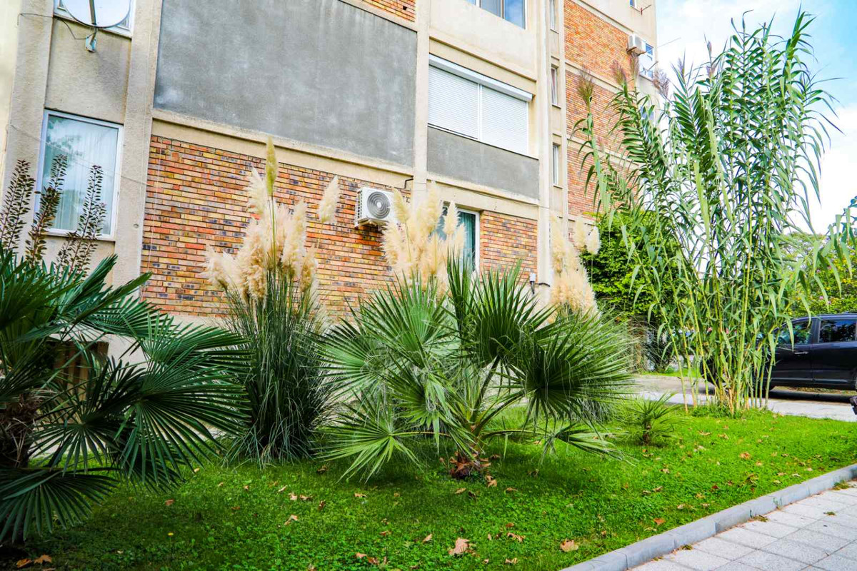 IMG-bee14a5e19a6b1098e7682f947ba7338-V