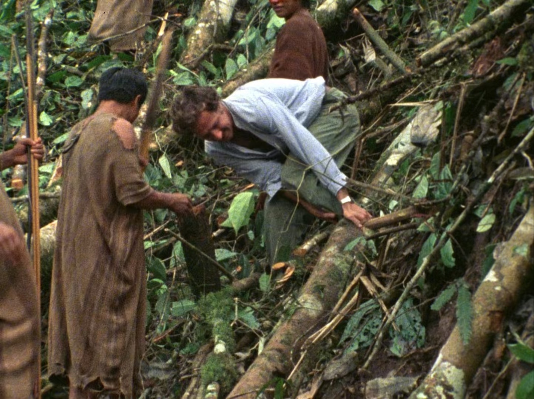 Burden of Dreams 1982 (1080p x265 10bit Tigole).