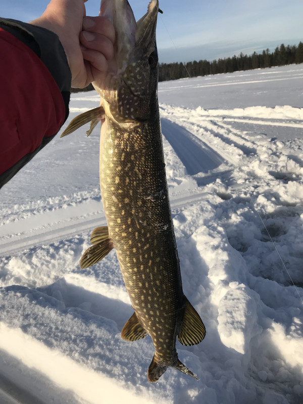 83F535BC-9417-4F1E-92A3-8B3289E52895