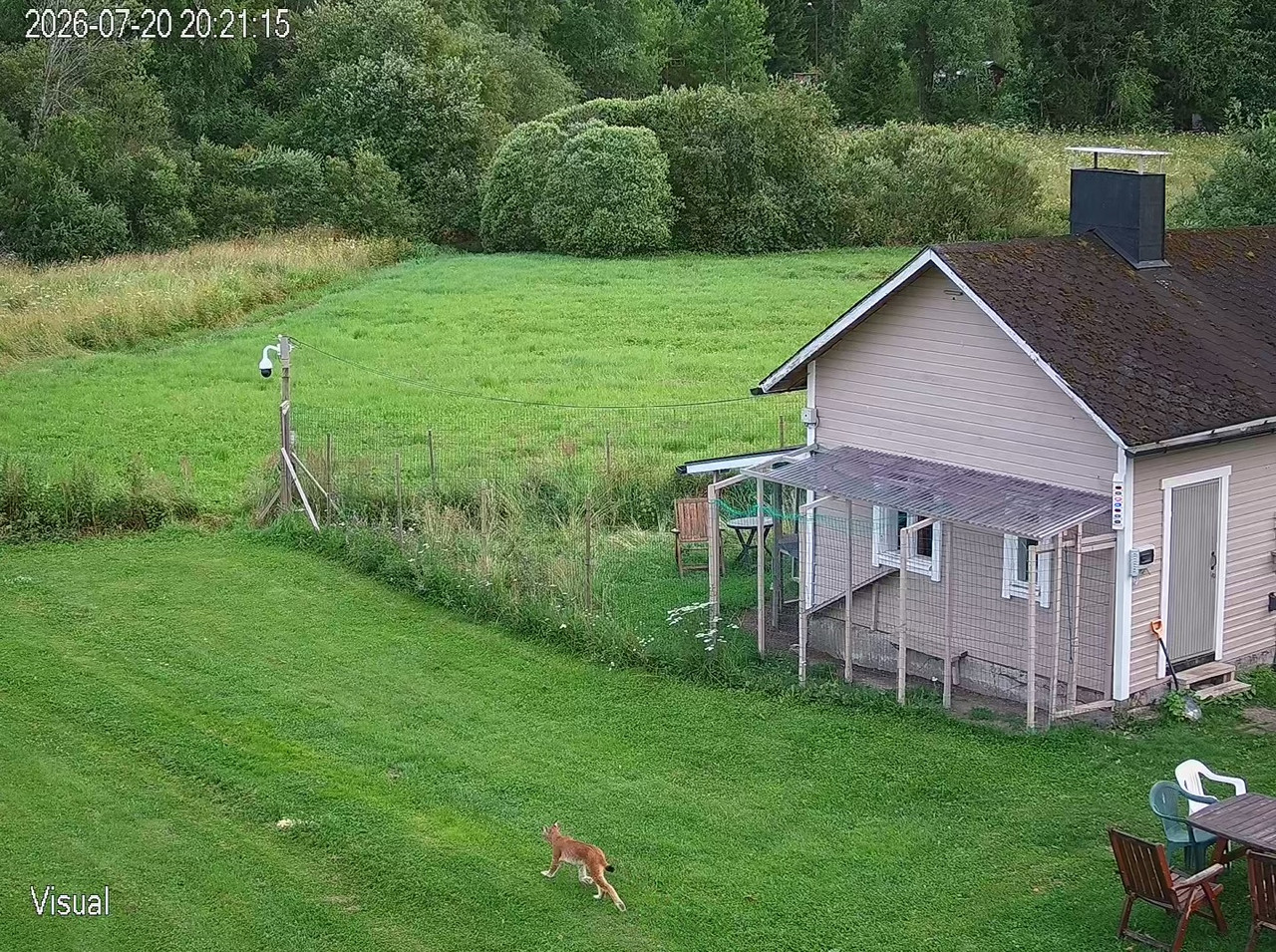 ilves 213 1 frame at 0m9s
