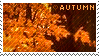 autum