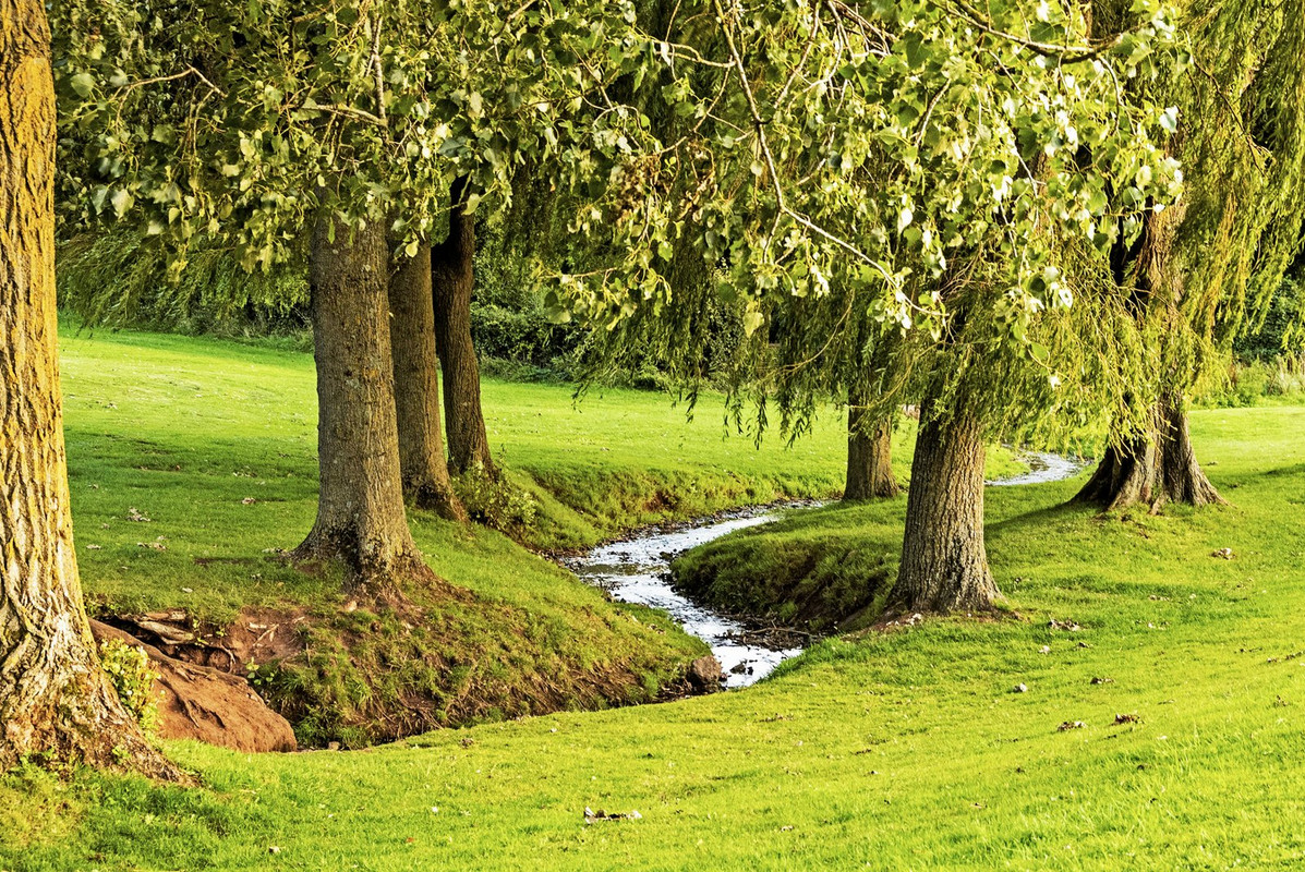 green-stream-dis1.jpg