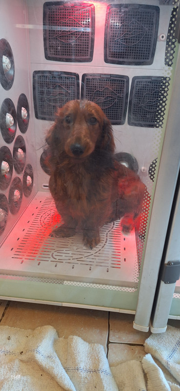 [Image: 20250305-161253.jpg]