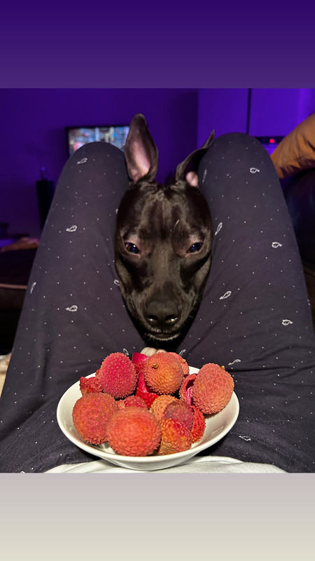 F9267206-9C5F-4CAE-9CF0-787E2C02C6F3