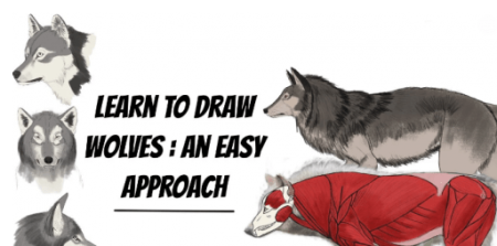 Learn To Draw Wolves: An Easy Approach
