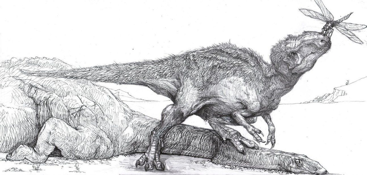 9f8d5b14e21de646af4a2f299406a620