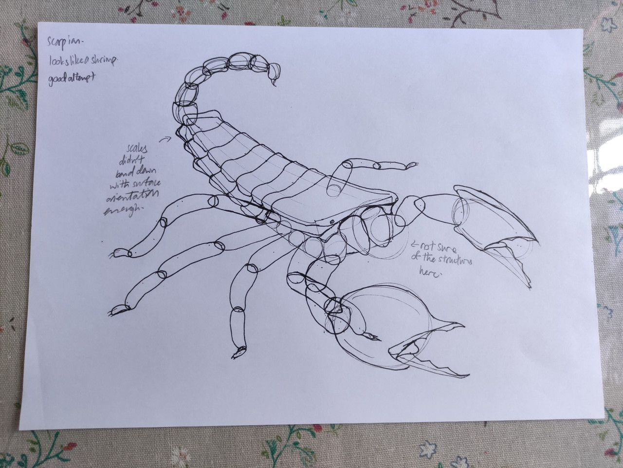 MVIMG 20251226 165522