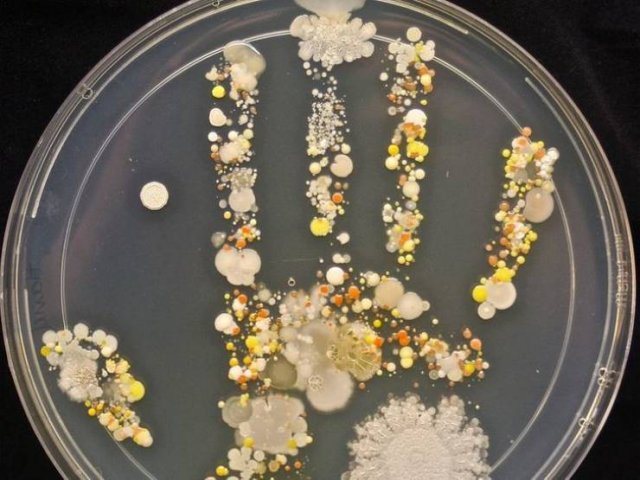Science-7