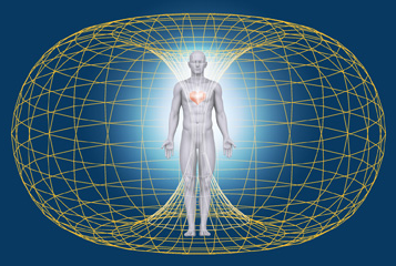 body field