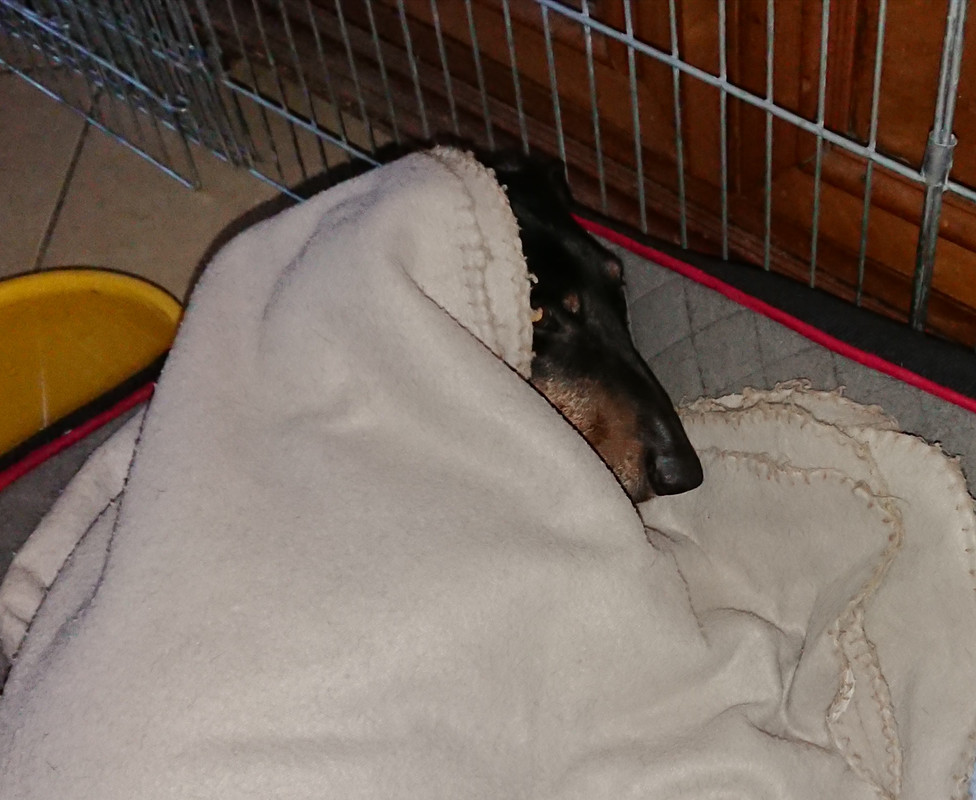 [Image: 20230402-082304.jpg]