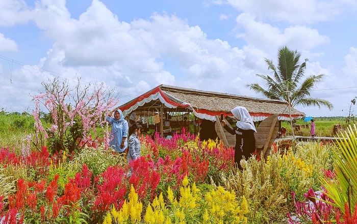 Potret Wisata Wiralaga yang berlokasi di Desa Wiralaga I dan Desa Wiralaga II, Kecamatan Mesuji, Kabupaten Mesuji, Lampung.