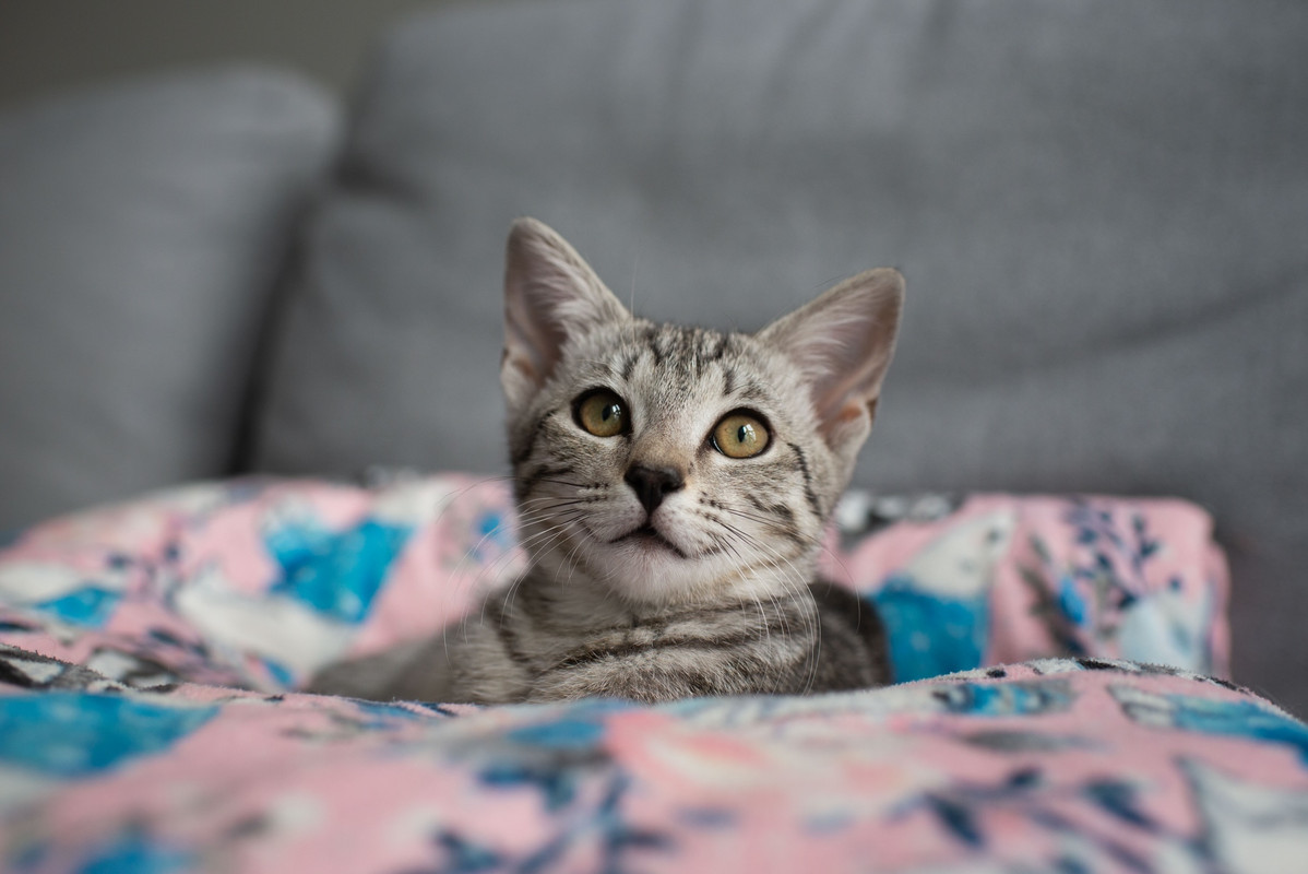 138F9B46-D24F-4997-AF71-3C605130F51A