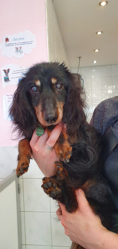 [Image: 20230322-142712.jpg]