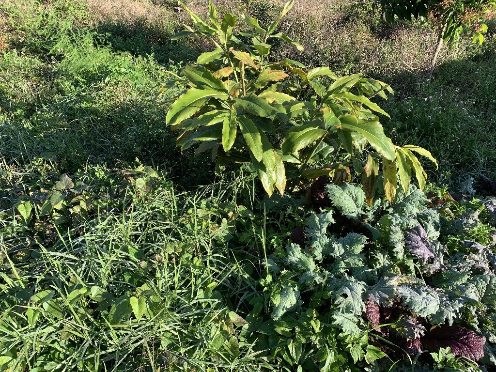 295C480B-4AD8-470B-8AF3-F44FB196BAB3