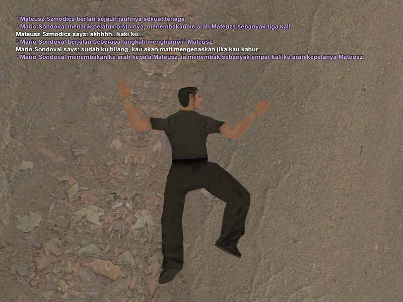 ssrp10.jpg
