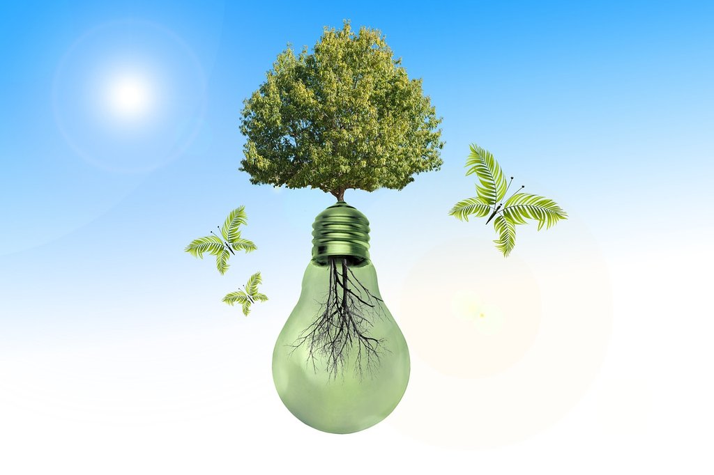 green-light-bulb-6798760-1280.jpg