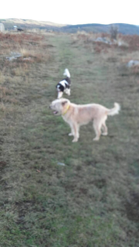 213B5DA8-43F8-4126-8292-C05EA9577CA9