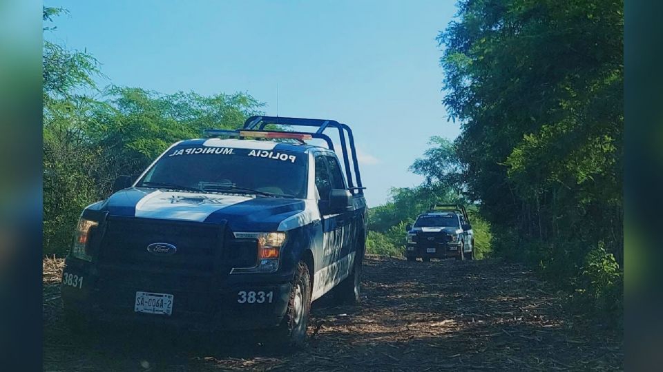 Sobre una brecha de Sinaloa, encuentran el cuerpo de un hombre; fue asesinado a golpes