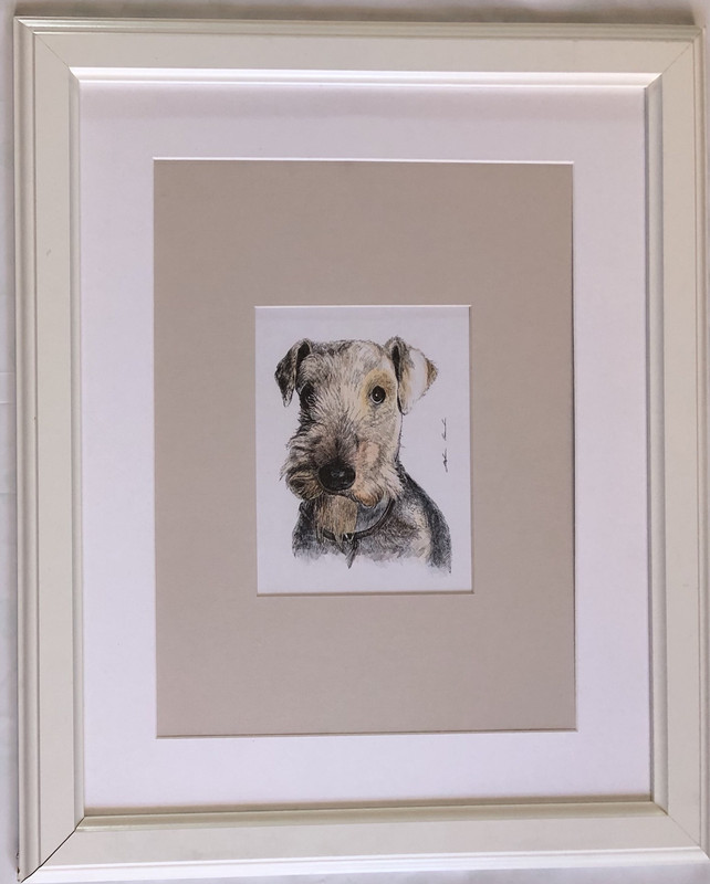 11D29536-FDE7-4CAE-AA11-6C5FF44108D4