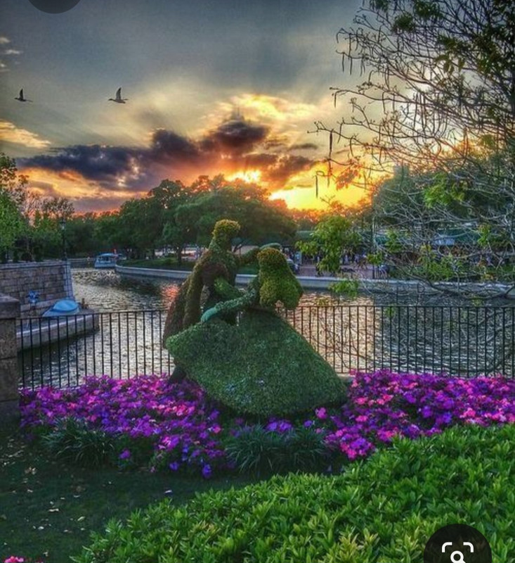 Screenshot_20230327_223625_Pinterest