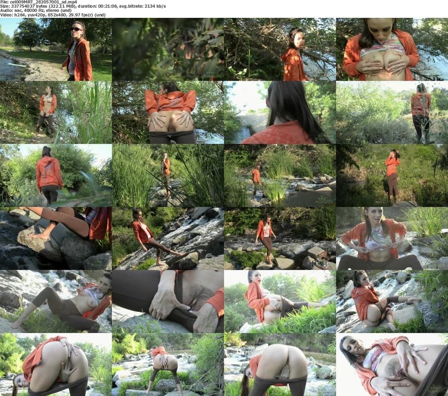 13112024211557screenshot