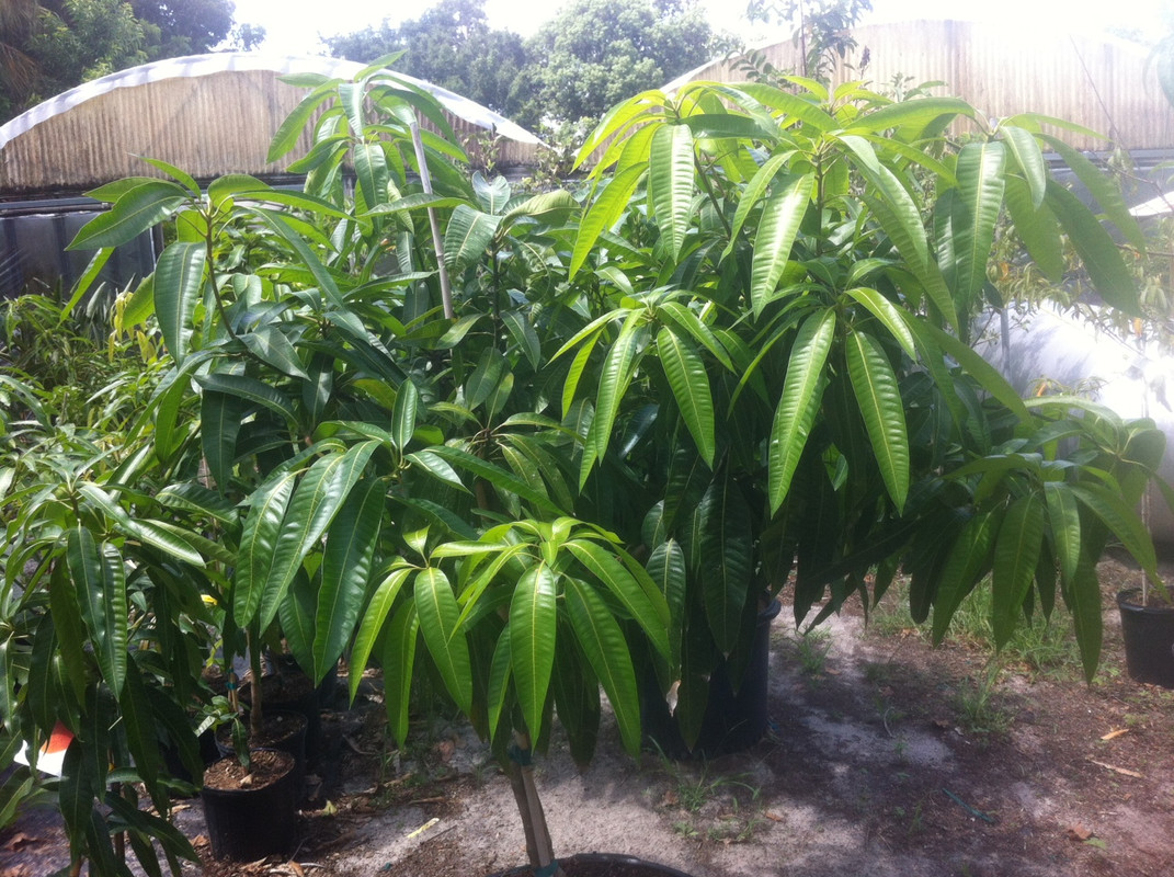 photo 2(12)