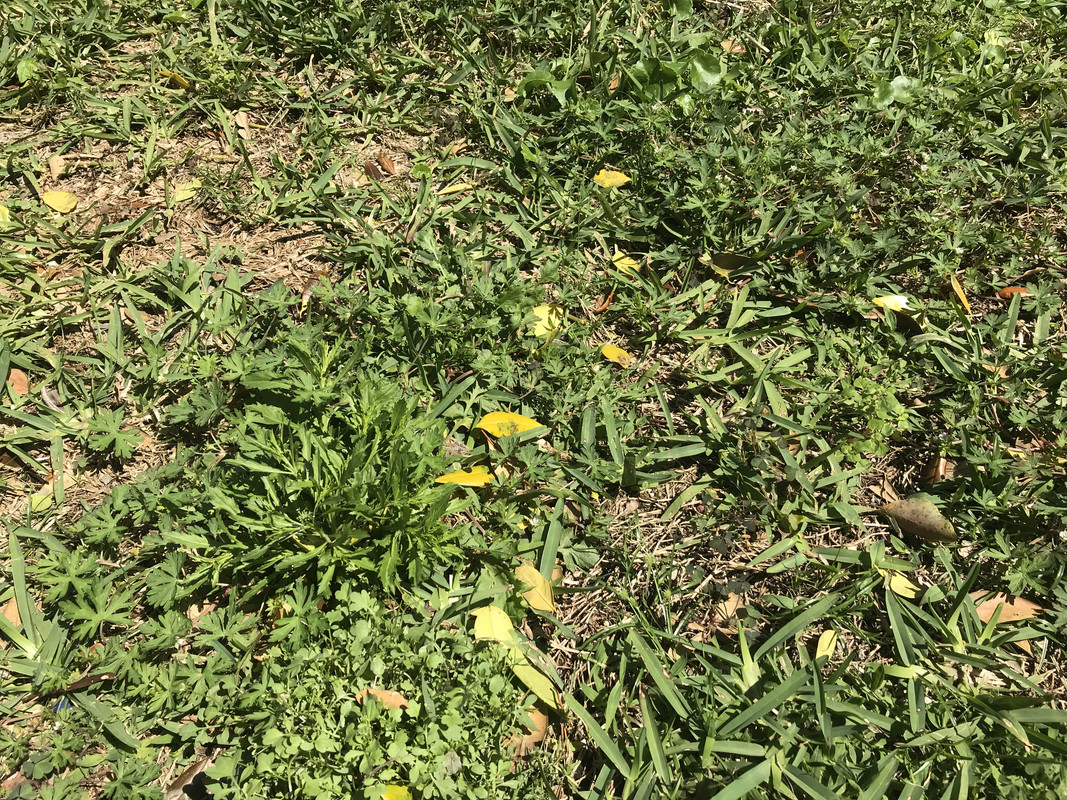 C65D1856-C217-4E57-8B19-69FFD4960386