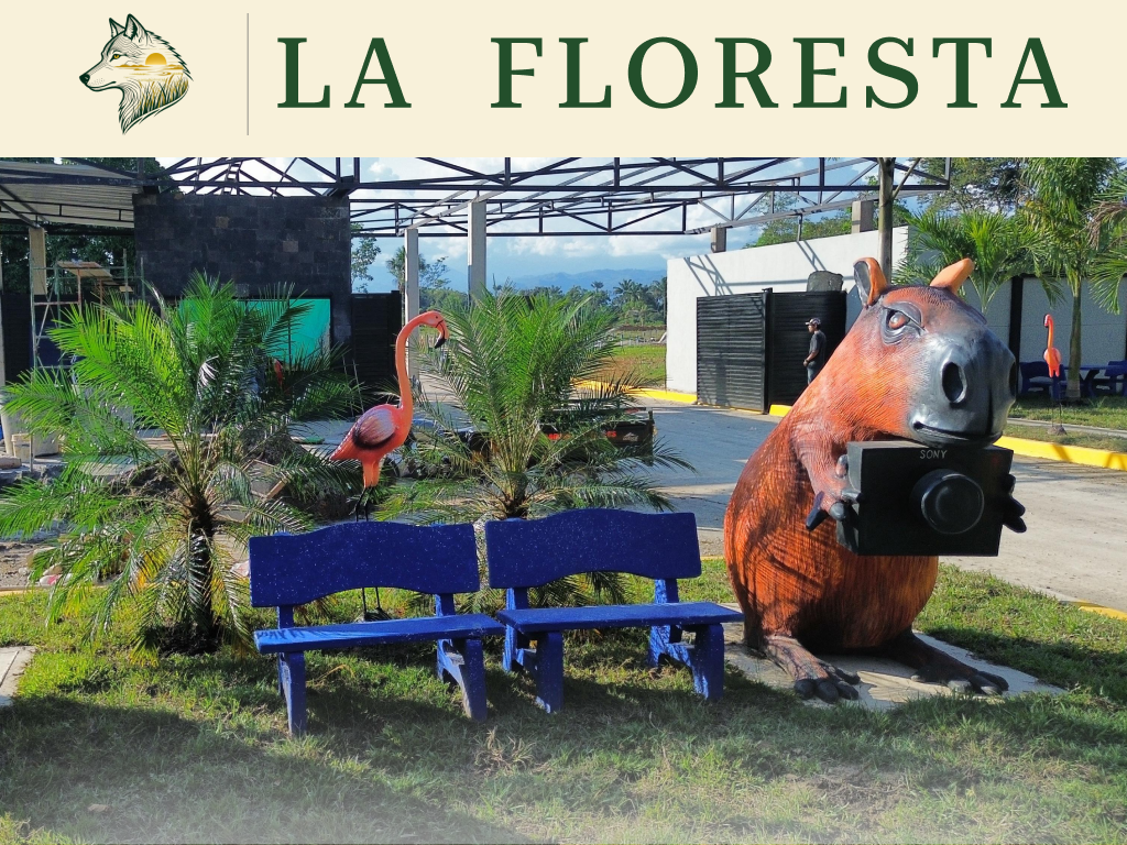 Acceso vial del proyecto La Floresta