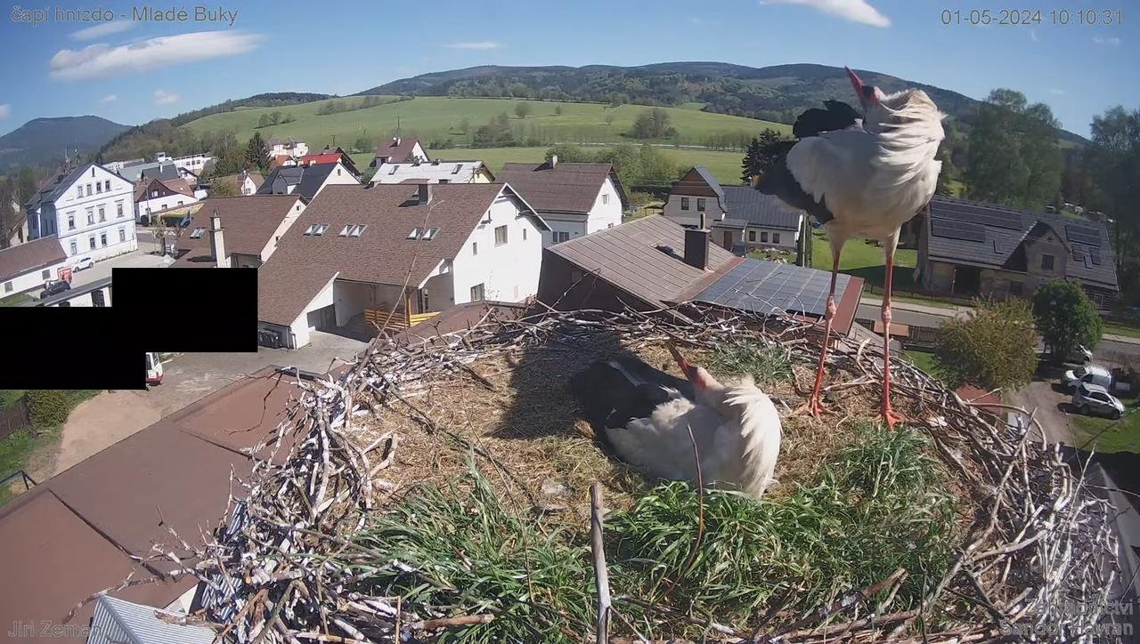 Tiešraides kamera — Mladé Buky — stārķa ligzda 12-34-8 screenshot