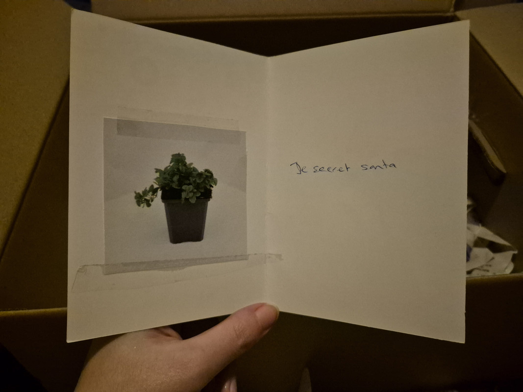 20241210-231346.jpg