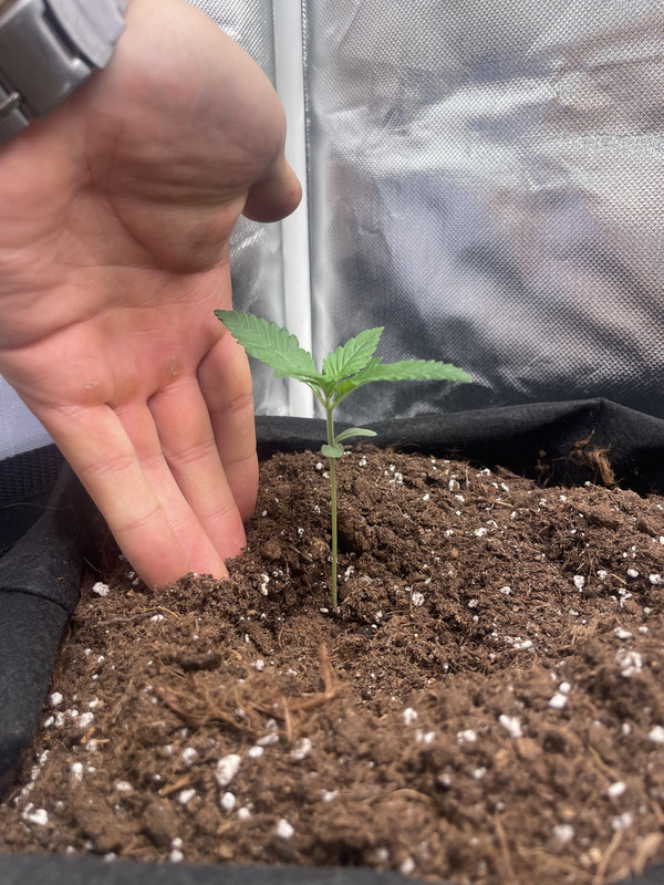 BC73CF72-B4DD-4914-ABD7-D0CE63C97504