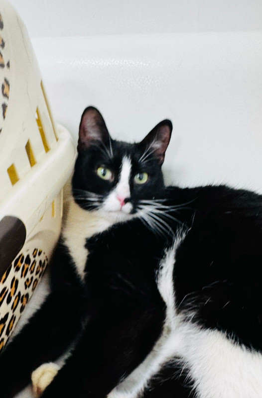 Изображение WhatsApp 2025-04-07 в 15.52.48_8774c124