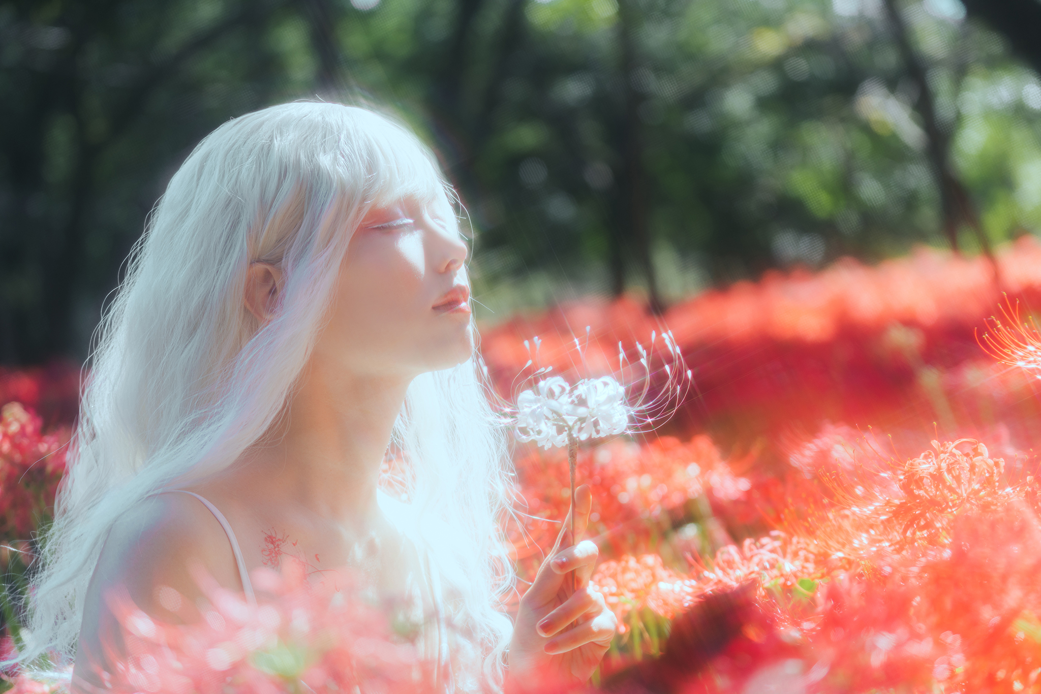 ElyEE子 NO.001 彼岸少女 48