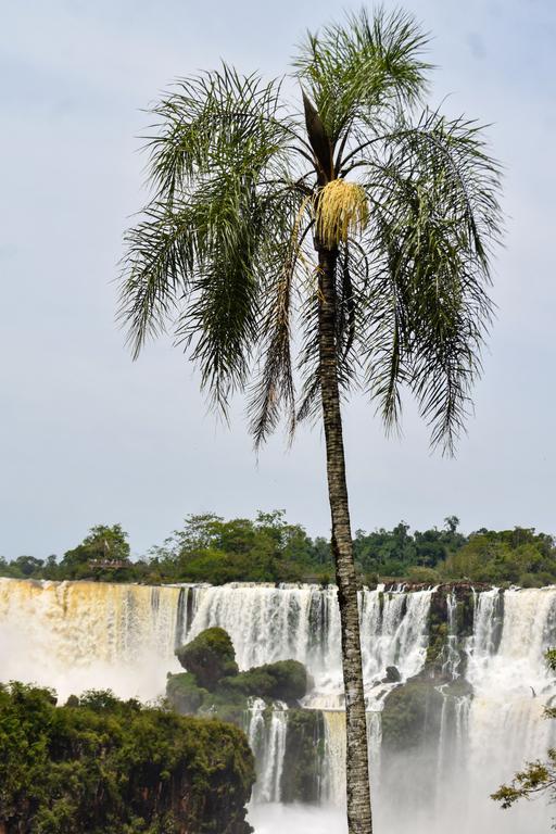 В джазе только девушки или аргентинско-бразильский калейдоскоп В джазе только девушки или аргентинско-бразильский калейдоскоп
