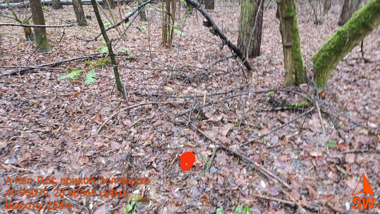photo 76 2025 11 25 10 36 06
