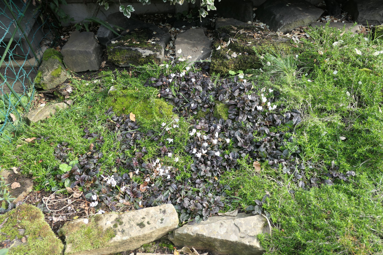 P1050089