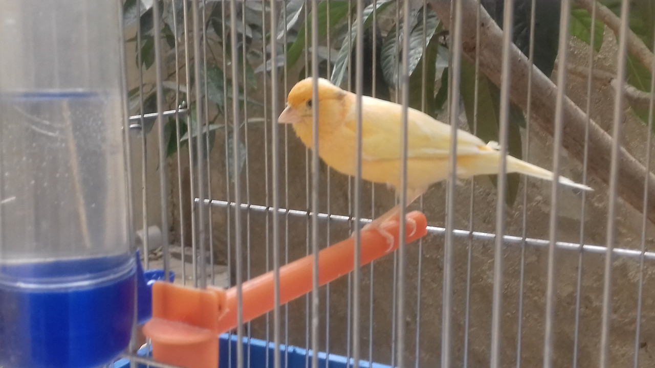 20180708_095430