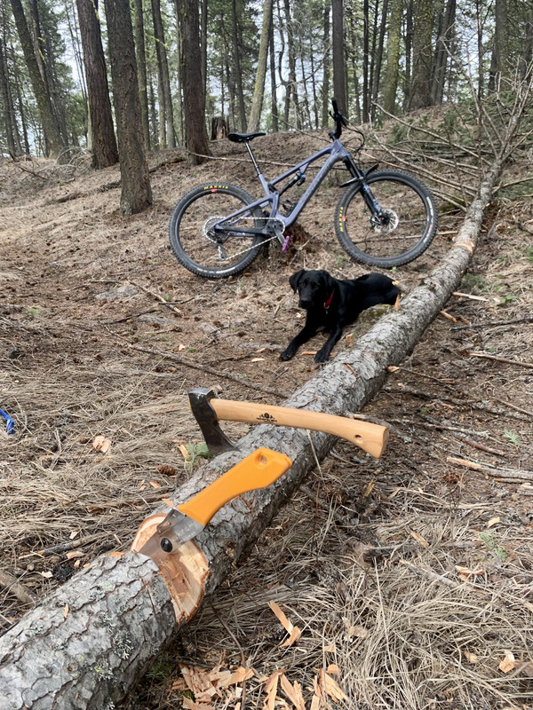 DBD43FA7-15DE-49DC-B84E-4621CA53188E