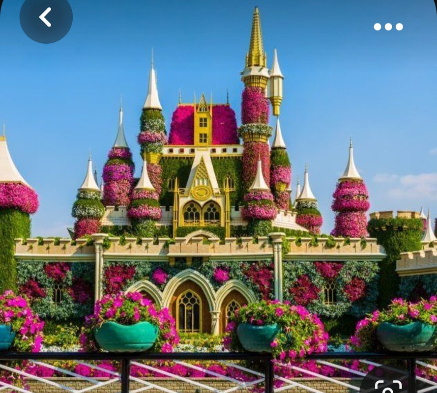 Screenshot_20231005_212643_Pinterest