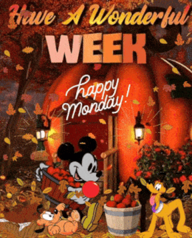 oie-208128k-V8z-J95-R