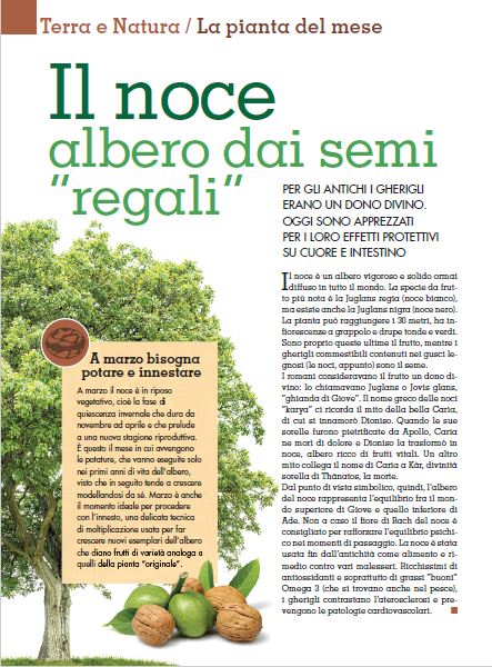 Alim Nat Mar 2016 (7)