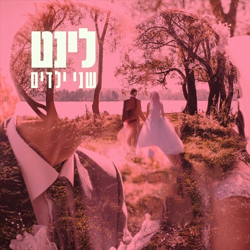 תמונה