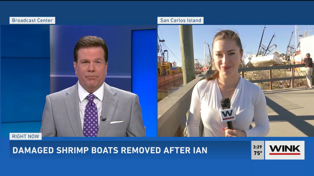 01.06 - 20.00.00 - WINK News at 3pm  ᴺᵉʷ..ts_snapshot_00.31.20.402