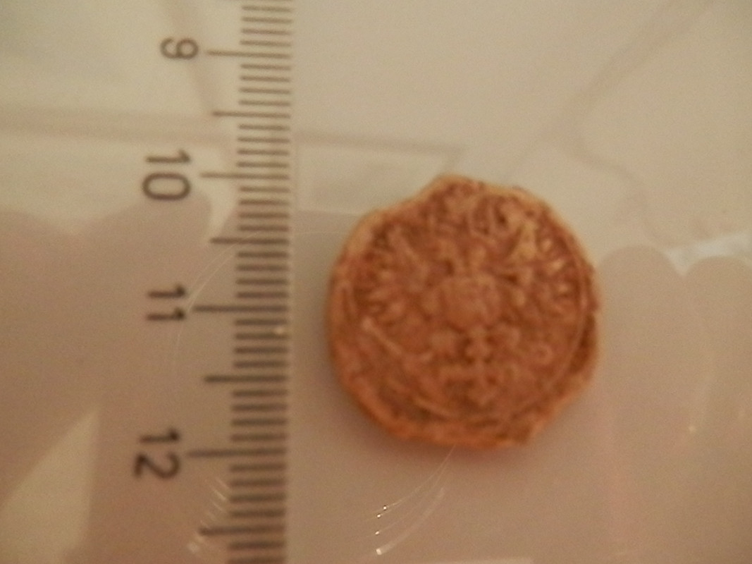 sinetti 001