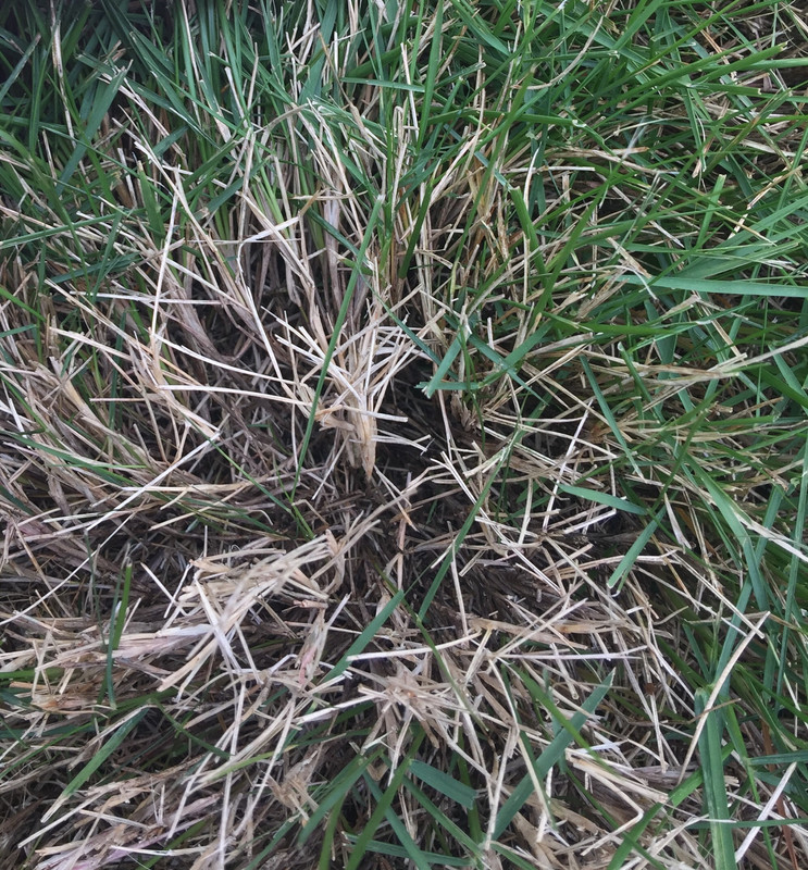 0667155D-F22F-4CBC-984D-BD0EFDBF8DAF