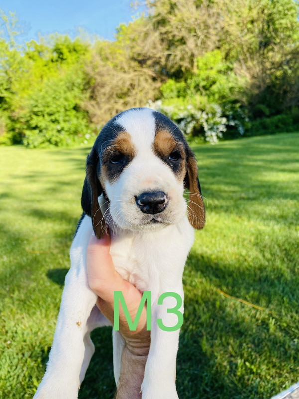 594C5D76-7566-480B-A917-294860F10D6B